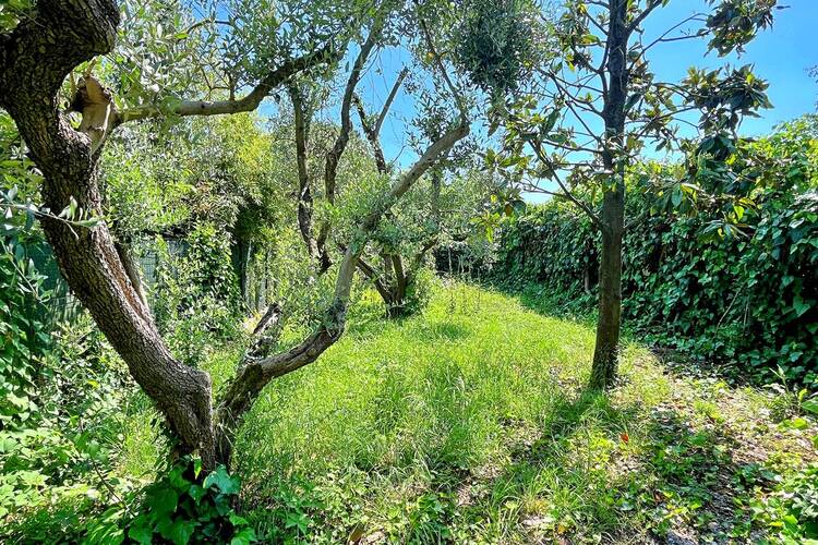 Terratetto Residenziali in vendita